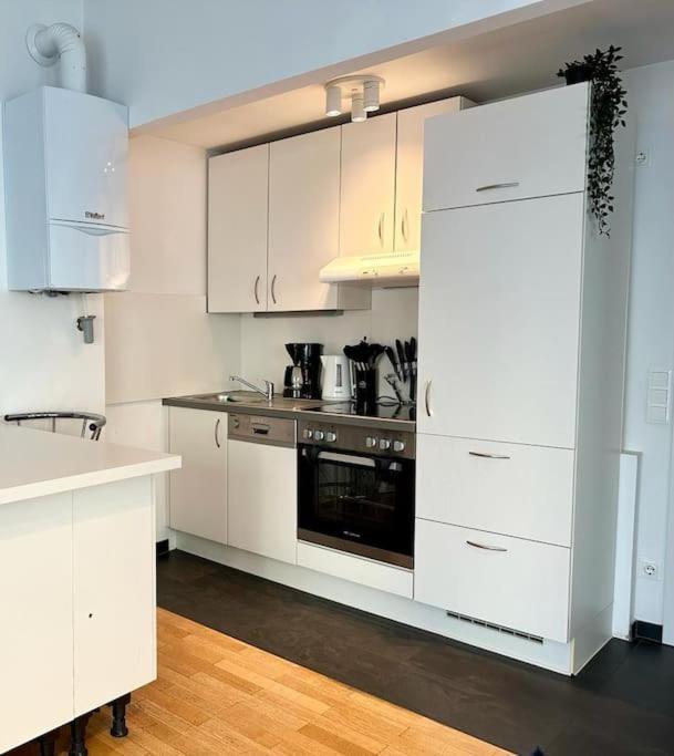 Amazing Terrace, Close To Viennas Biggest Shopping Street * Wien